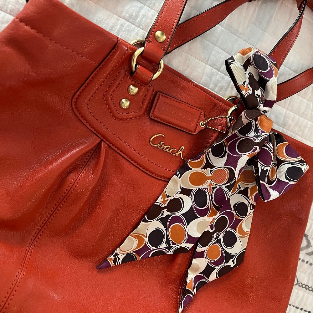 COACH Ashley Carry All Handbag